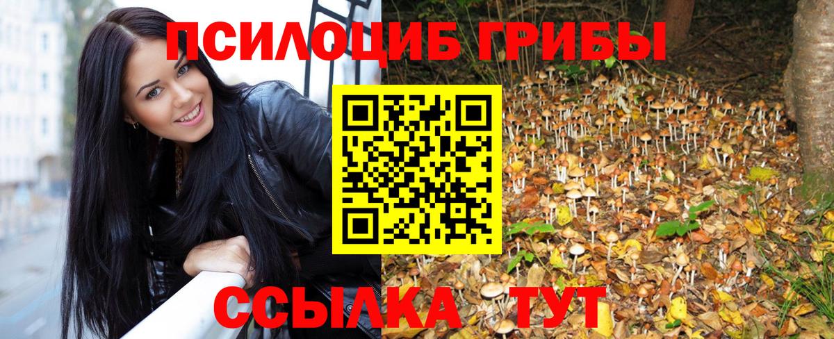 Галлюциногенные грибы прущие грибы Мыски