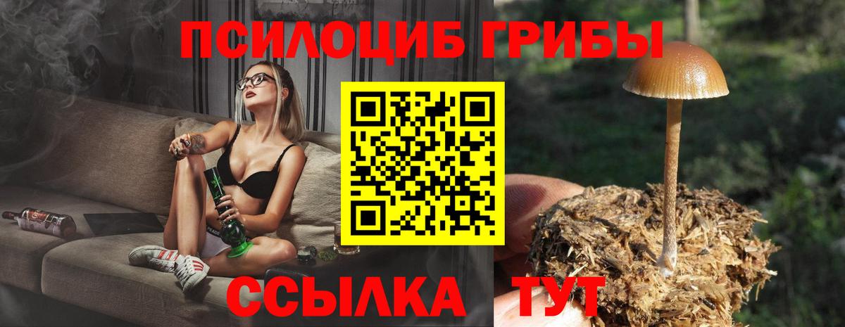 Галлюциногенные грибы мухоморы  Вход с VPN  Мыски 